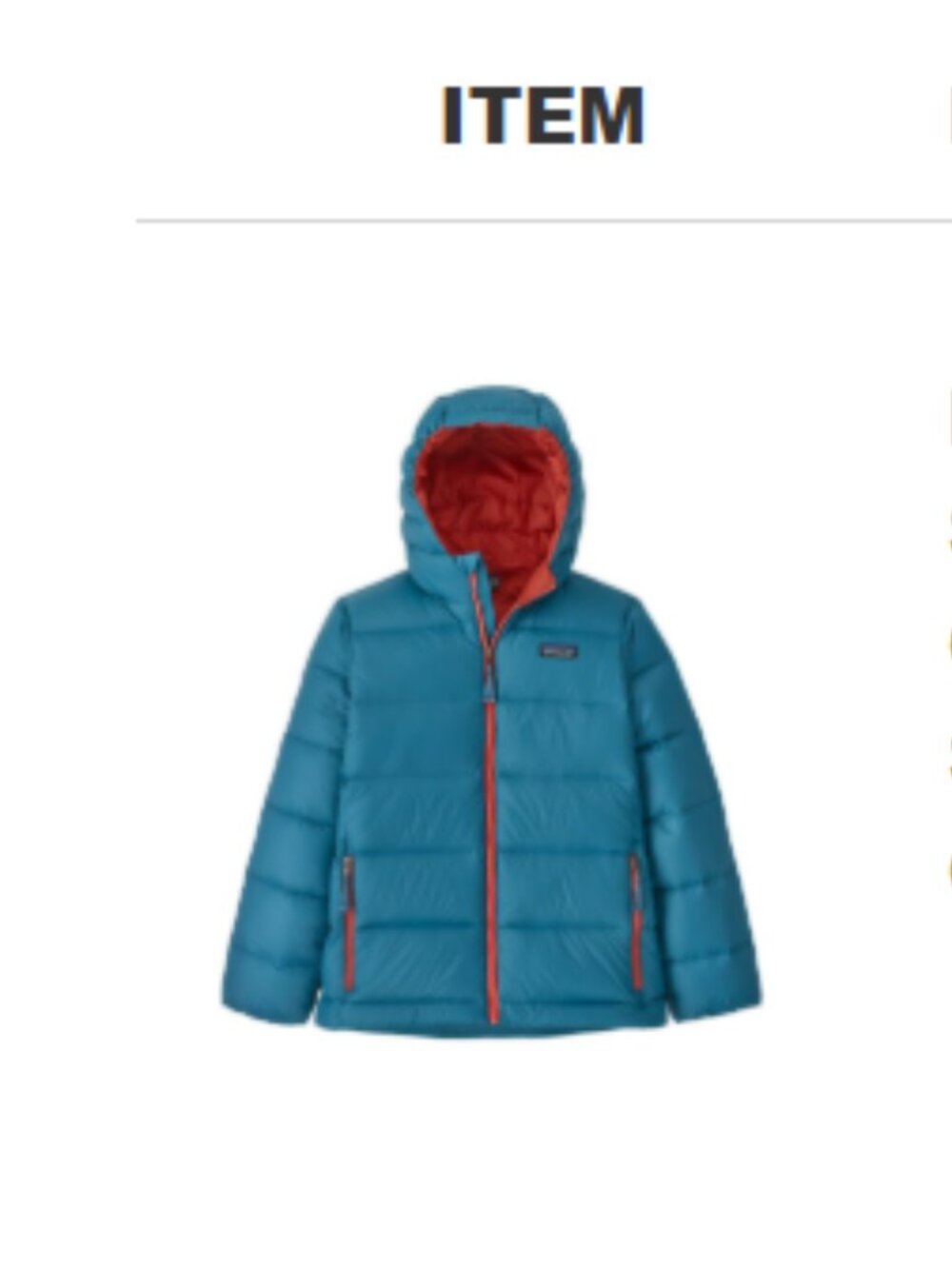 Patagonia Kids XL High-Loft Down Sweater Hoody